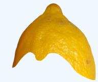accessory asset lemon lemon_(user) meta:nas nas not_a_FUCKING_SOYJAK template // 552x467 // 176.6KB