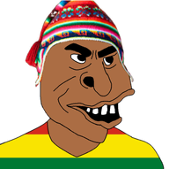bolivia bolivian brown_skin handsome native variant:peruvianmutt // 768x764 // 181.8KB