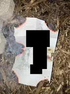 burning censored glasses irl_background kneeling mulch op_what_in_the_fuck petting shitnounrdynouumlycordcarescares smoke tuff variant:soytan // 768x1024 // 146.1KB