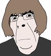 brown_eyes brown_hair closed_mouth frown glasses hair looking_at_you sobot soyjak variant:cobson white_skin // 775x849 // 20.2KB