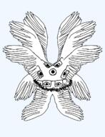 angel beard feathers glasses multiple_eyes seraphim variant:unknown wing // 918x1200 // 121.3KB