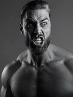 gigachad gigafly grey_skin i_am_the_big_buff_grey_man nas:gigachad subnas:gigafly // 480x640, 6s // 2.7MB