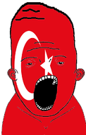 bald ear flag:turkiye looking_at_you meta:more_ias_than_vlodson open_mouth transparent_background turkiye variant:nigger_dust // 640x1011 // 135.7KB