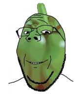 gimp gimp_(photo_manipulation_program) glasses green_is_my_pepper green_skin pepper smile soyjak stubble subvariant:wholesome_soyjak variant:gapejak // 578x654 // 106.9KB