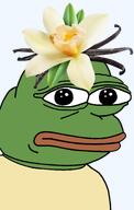 amphibian bald blue_background closed_mouth clothes flower frog green_skin irl lips looking_at_you meta:nas nas nas:pepe pepe_the_frog plant series:pepe_hat tshirt vanilla // 974x1531 // 529.8KB