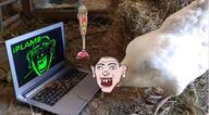chicken irl kurwa laptop meta:tagme plunger subnas:bóbr variant:cobson variant:feraljak // 1249x692 // 121.9KB