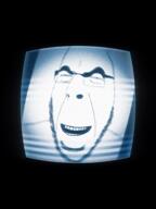 buff chad david_bowie edit laughing variant:cobson // 720x960, 13.6s // 14.2MB