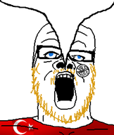 bald blond blond_beard blue_eyes clothes flag:turkiye forehead_lines glasses lip lips neck nose open_mouth red_shirt series:countryaryan_gem! speech_bubble speech_bubble_empty stubble teeth tengrism transparent trend:aryan turk turkiye turkroach tvrkaryan variant:a24_slowburn_soyjak white_background // 454x539 // 18.5KB