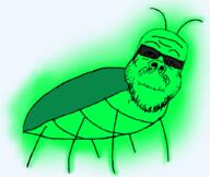 glowing insects variant:a24_slowburn_soyjak // 896x754 // 211.7KB