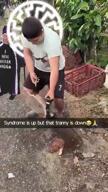 ack blood chainsaw crocs downs_syndrome i_heil_hitler_nigga irl mexico sonnenrad swastika tranny transgender_flag variant:bernd video // 360x640, 10.6s // 1.1MB