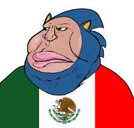 satoko_houjou(namefag) sega sonic sonic_the_hedgehog subvariant:mexiaryan variant:meximutt // 888x849 // 57.1KB