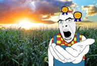 award beautiful blue_eyes corn corncob farmer germany hand iowa midwest reaching_out sun sunset sweden trend:aryan white // 2000x1373 // 4.4MB