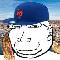 long_island mets sub_sandwich subvariant:massjak variant:gapejak // 600x599 // 380.1KB