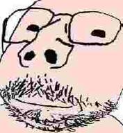 baby bald closed_mouth glasses happy meta:low_resolution small_eyes smile soyjak stubble subvariant:scholar variant:gapejak // 230x250 // 5.1KB