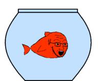 animal fish fish_tank glasses open_mouth soyjak stubble variant:soyak water // 674x557 // 5.0KB