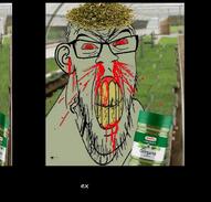 angry animated blood bloodshot_eyes clenched_teeth ear glasses herb irl_background melobyte music mustache nosebleed oregano plant red_eyes sound soyjak stubble subvariant:feralrage variant:feraljak vein video yellow_teeth // 752x720, 131s // 2.1MB