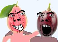 2soyjaks food fruit gape grape guava hugging no_more_brother_wars objectsoy series:fruiterz! smile variant:cobson variant:unknown // 951x693 // 552.5KB