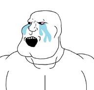 buff crying open_mouth pink_eyes sad subvariant:mexiaryan variant:meximutt // 886x851 // 21.3KB