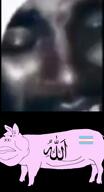 allah allah_pidoras animal arab arabic_text closed_mouth ear flag flag:transgender_pride_flag gay pedophile pig pink_skin text tranny variant:meximutt // 466x858, 9.6s // 2.3MB