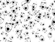 camouflage snow soyjak variant:cobson winter // 2559x1929 // 438.5KB