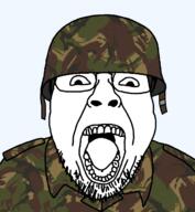 camouflage glasses helmet looking_at_you military military_uniform stubble variant:bernd // 1200x1300 // 770.6KB