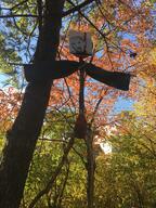 clothes ear hair hanging irl noose open_mouth rope soyjak suicide track_suit variant:kuzjak // 3024x4032 // 5.3MB