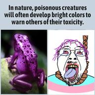 bloodshot_eyes crying frog irl open_mouth rope soyjak suicide tongue tranny variant:bernd // 640x640 // 401.0KB