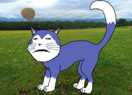 animal cat feline irl_background rover rover_(animal_crossing) subvariant:impish_meowjak subvariant:massjak subvariant:massmeowjak subvariant:wholesome_soyjak tenor tenor_(user) variant:gapejak // 1189x855 // 1.8MB