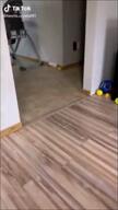 baby caca cocomelon happy irl irl_background op_is_a_retarded_lazy_faggot_for_not_tagging_his_own_shit running smile tiktok variant:gapejak // 360x640, 7.6s // 504.5KB