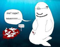 dolphin op_is_a_zoophilic_pedo_nigger_for_not_tagging_his_own_shit rape variant:cobson // 2600x2028 // 2.5MB