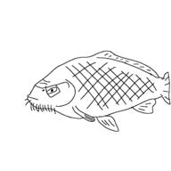 beard commoncarp fish glasses // 1280x1280 // 118.6KB