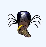 bug faggot jartybug nate series:jartybug sharty shartycuck slopjak soyjak_party spider variant:feraljak // 488x492 // 62.7KB