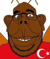 brown_skin cockroach country flag flag:turkiye turkiye turkroach variant:obsjak wing // 1030x1222 // 61.0KB