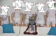 animal arm buck_teeth cat cat_ear cheese ear grey_skin hand merge mouse piper rat red_eyes sad smile snout sofá_meme soot soot_colors soyjak soyjak_party stubble subvariant:impish_meowjak subvariant:splicejak variant:impish_soyak_ears whisker // 720x460 // 185.4KB