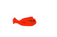coal fish fishjak // 938x611 // 26.2KB