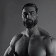 beard gigachad grey_skin gun i_am_the_big_buff_grey_man nas:gigachad shooting // 560x560, 6s // 1.4MB