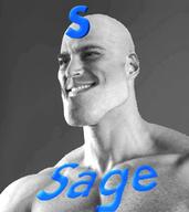 4chan 4cuck buff meta:not_oc nas:gigachad oldfag sage sage_man // 912x1024 // 364.5KB