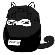 animal bullet_vest cat cat_ear closed_mouth ear hair helmet mask nose snout subvariant:gapecat subvariant:wholesome_soyjak swatted_(user) tail variant:gapejak whiskers white_background // 800x800 // 38.5KB