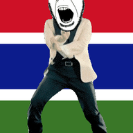 angry animated country dance flag flag:gambia full_body gambia gangnam_style glasses irl open_mouth soyjak stubble variant:cobson // 300x460 // 502.6KB
