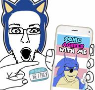 meta:tagme pronouns sonic_the_hedgehog tranny variant:feraljak variant:unknown // 908x856 // 94.9KB