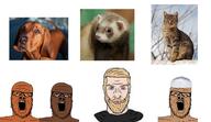 3soyjaks animal black_skin brown_skin cat chad clothes dog ferret glasses hat islam mustache nordic_chad open_mouth soyjak stubble taqiyah variant:a24_slowburn_soyjak // 2400x1385 // 1.7MB