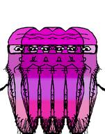 calm closed_mouth glasses multiple_soyjaks purple purple_skin soyjak stretched_chin stubble subvariant:longplier thrembo variant:markiplier_soyjak // 785x1000 // 136.2KB