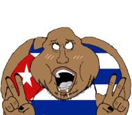 ahegao ass brown_skin cuba eyelashes ferdinanddist(namefag) front huge_ass obese open_mouth panties peace_sign subvariant:mexiwhore template thong variant:meximutt // 1208x1059 // 64.9KB