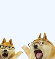 animal dog doge ear glasses leg meme open_mouth pointing pointy_ears soy_parody soyjak stubble tongue variant:gapejak variant:two_pointing_soyjaks // 567x598 // 172.9KB