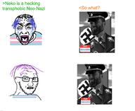 gigachad meme meta:namefags nas:gigachad nazism neo-nazi sillyneko2008_(namefag) subvariant:soyak_(concerned) tranny troon variant:rupturejak variant:soyak // 2920x2389 // 2.3MB