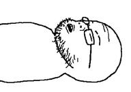 closed_mouth glasses open_mouth soyjak stubble variant:unknown // 713x500 // 7.8KB