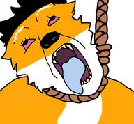 boykisser_1488 meta:tagme subvariant:trannyfur variant:bernd // 760x704 // 57.0KB