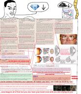coal eyelashes eyelids eyesight gem infographic sight smile smug soyjak tranny variant:chudjak vision wordswordswords // 3124x3616 // 10.1MB
