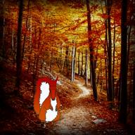 ambience autumn calm forest music orange piano squirrel subvariant:longplier variant:markiplier_soyjak video // 720x720, 158.3s // 68.2MB