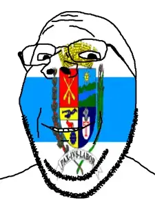 gapejak, wholesome soyjak, barra mansa, brazil, flag, glasses, municipality, rio de janeiro, smile, soyjak